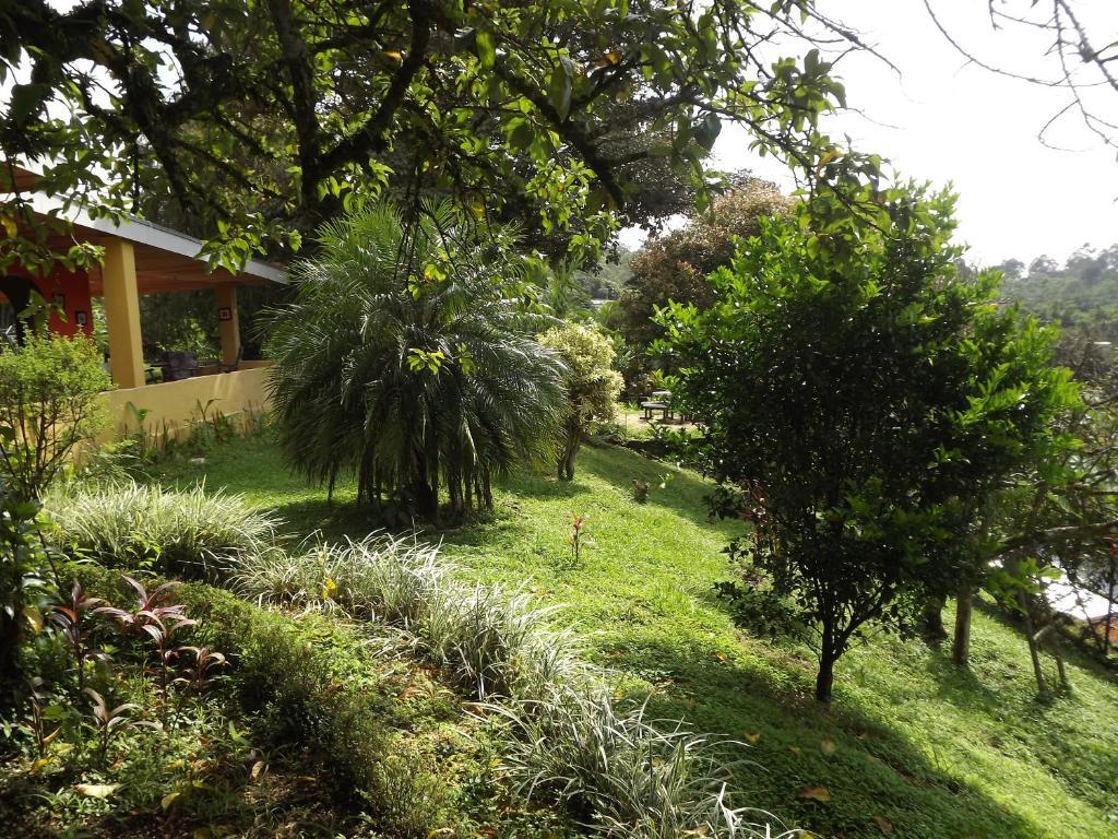 Aparthotel Villa Pacande & Rooms Pilas 객실 사진